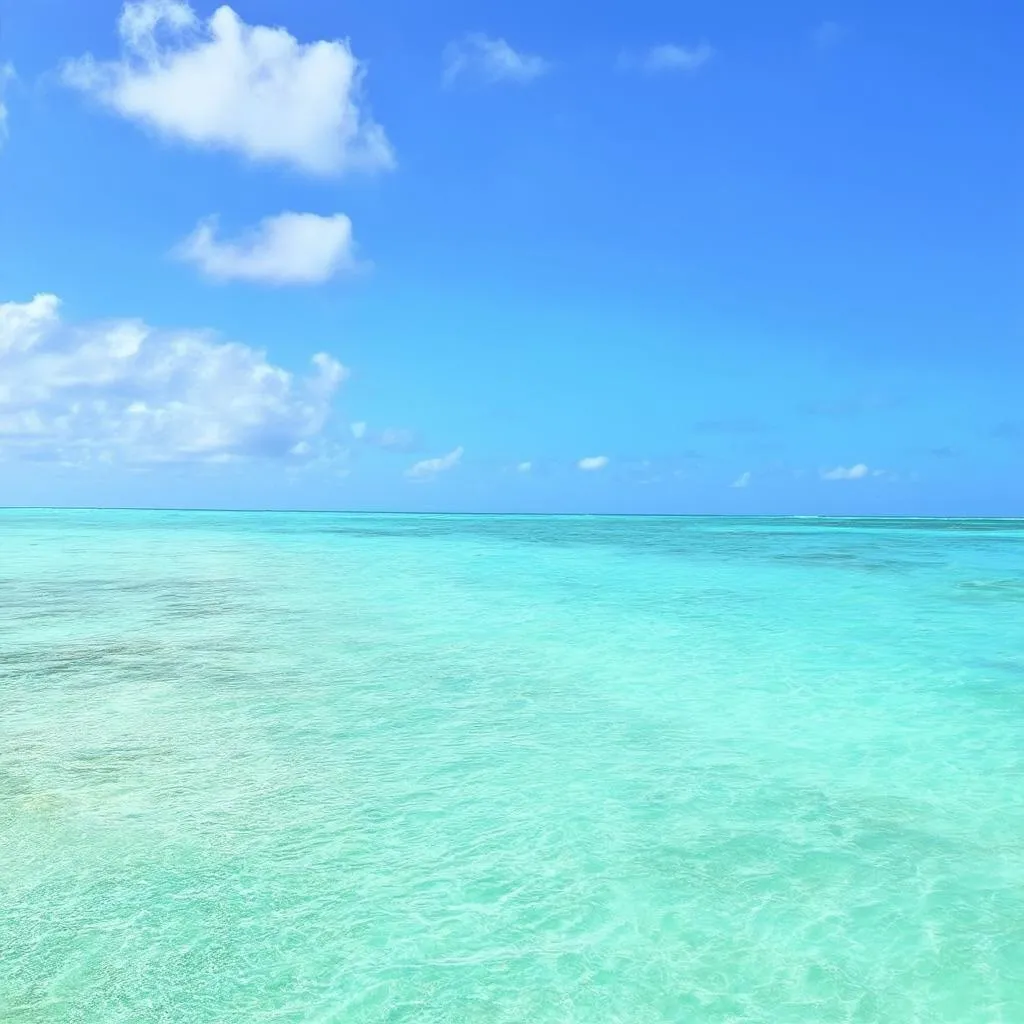 Safe beach in the Bahamas