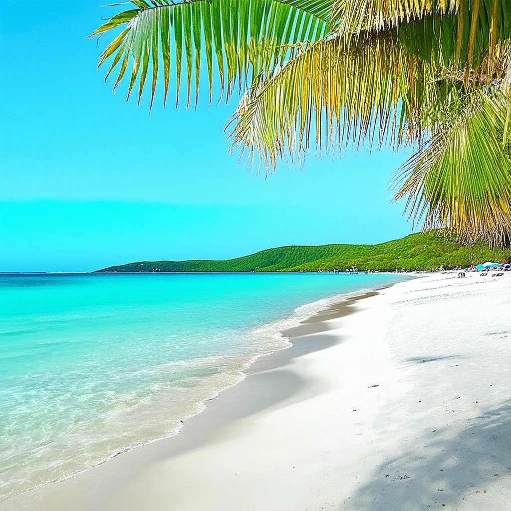 Flamenco Beach