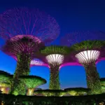 Gardens by the Bay at night