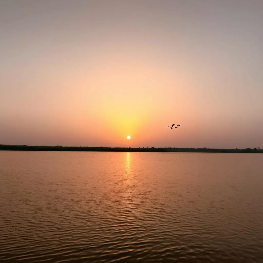 Sunset over Pulicat Lake in Nellore