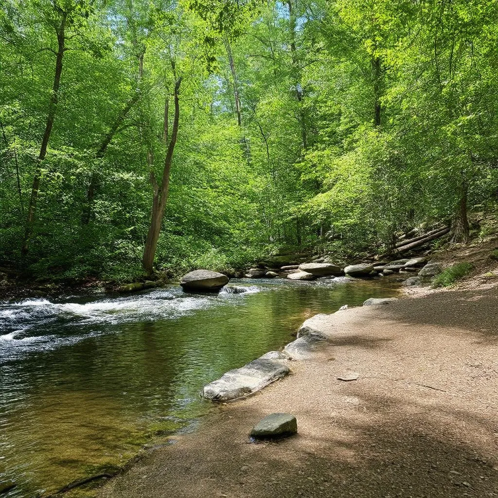 Ridley Creek State Park