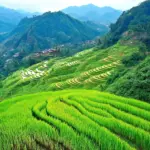 Spectacular Sapa Rice Terraces