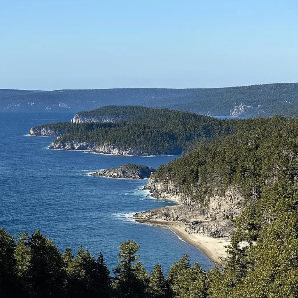 Acadia National Park Scenery 