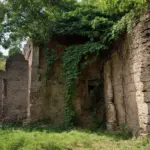 Ancient Ruins Overgrown by Jungle