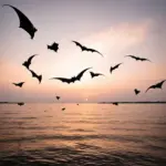 Bats Flying Over Water