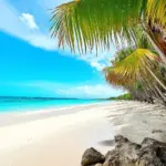 Brazilian Beach Paradise