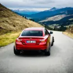 Car Braking on a Mountain Road