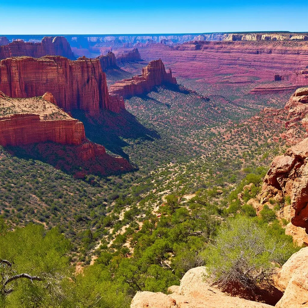 Scenic View of Colorado National Monument