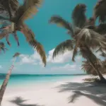 Dominican Republic Beach Paradise