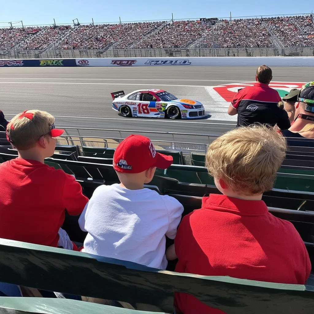 Family Watching Race