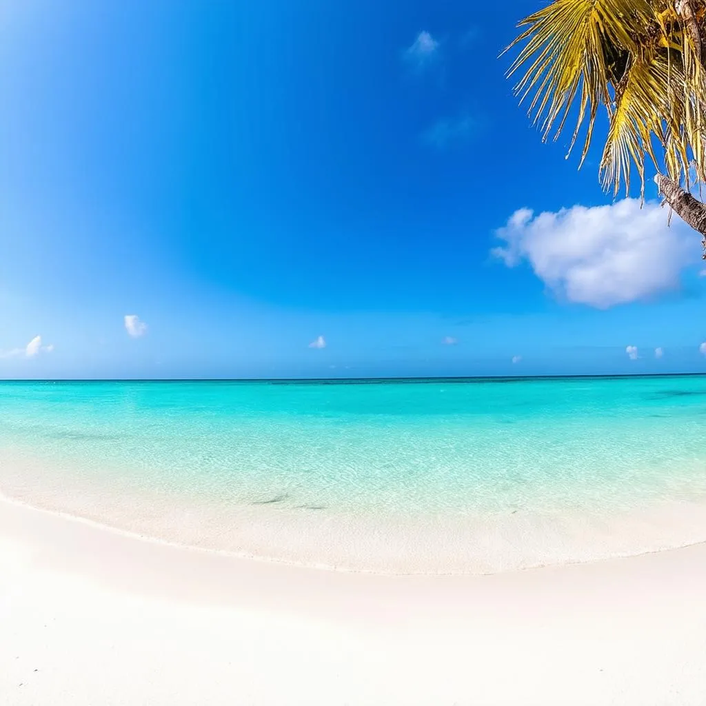 Florida Beach