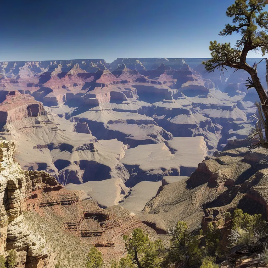 Grand Canyon View