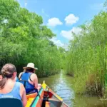 Bayou Tour in Houma