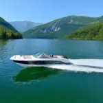 Tranquil Motorboat Ride