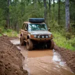 Mud Tires Off-Road