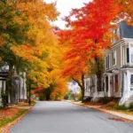 New England Fall Foliage