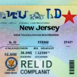 New Jersey Driver's License