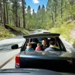 Road Trip Safety Tips