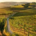 Road Trip Through Tuscany