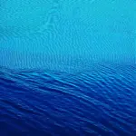 Sound Waves in Water