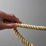 Transverse Wave on a Rope