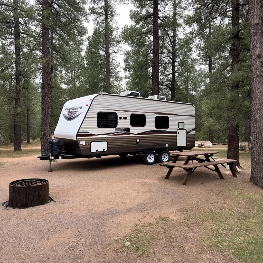 Travel Trailer at a Campsite