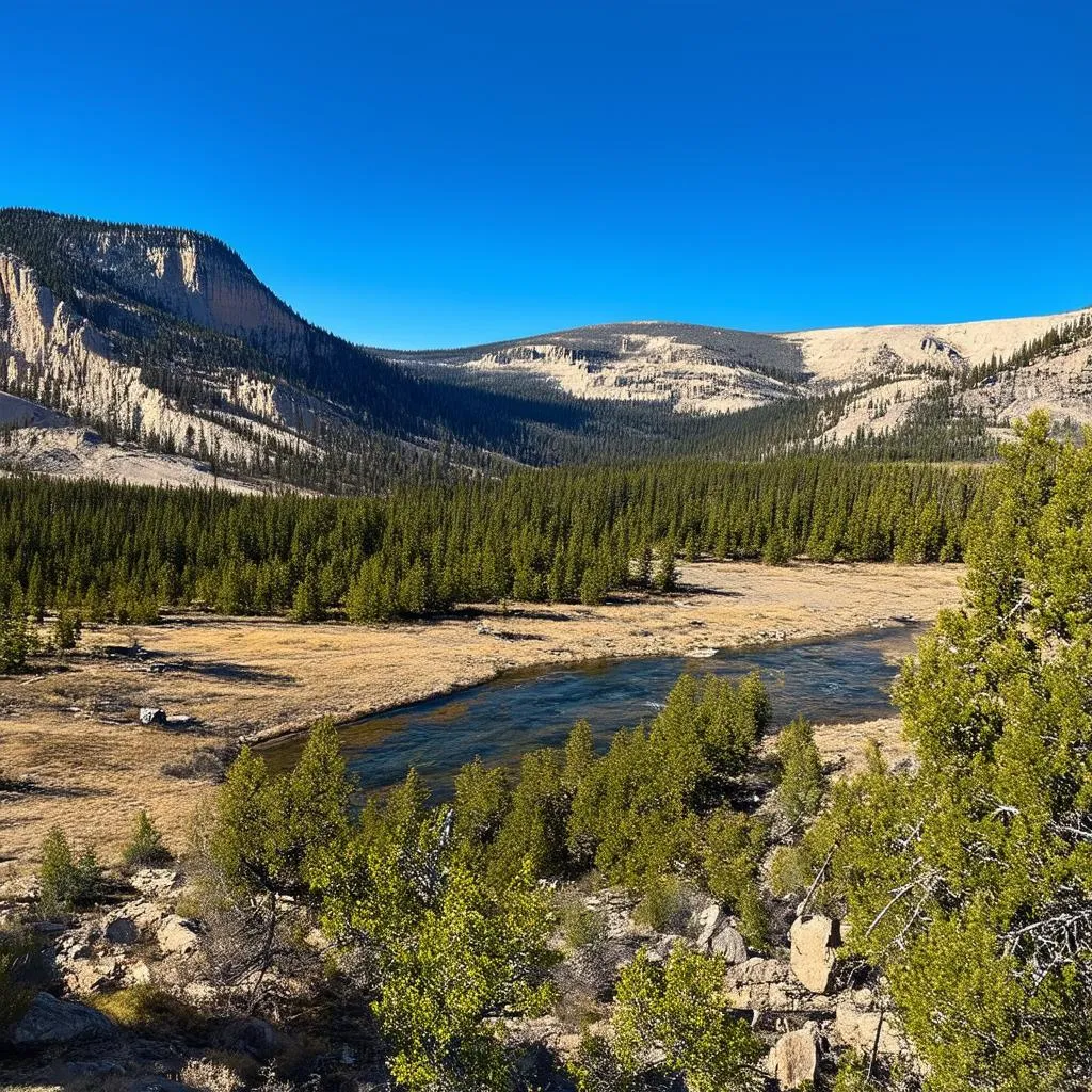 Yellowstone National Park Landscape