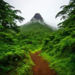 Ba Vi National Park Hiking Trail