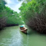 Can Gio Mangrove Forest