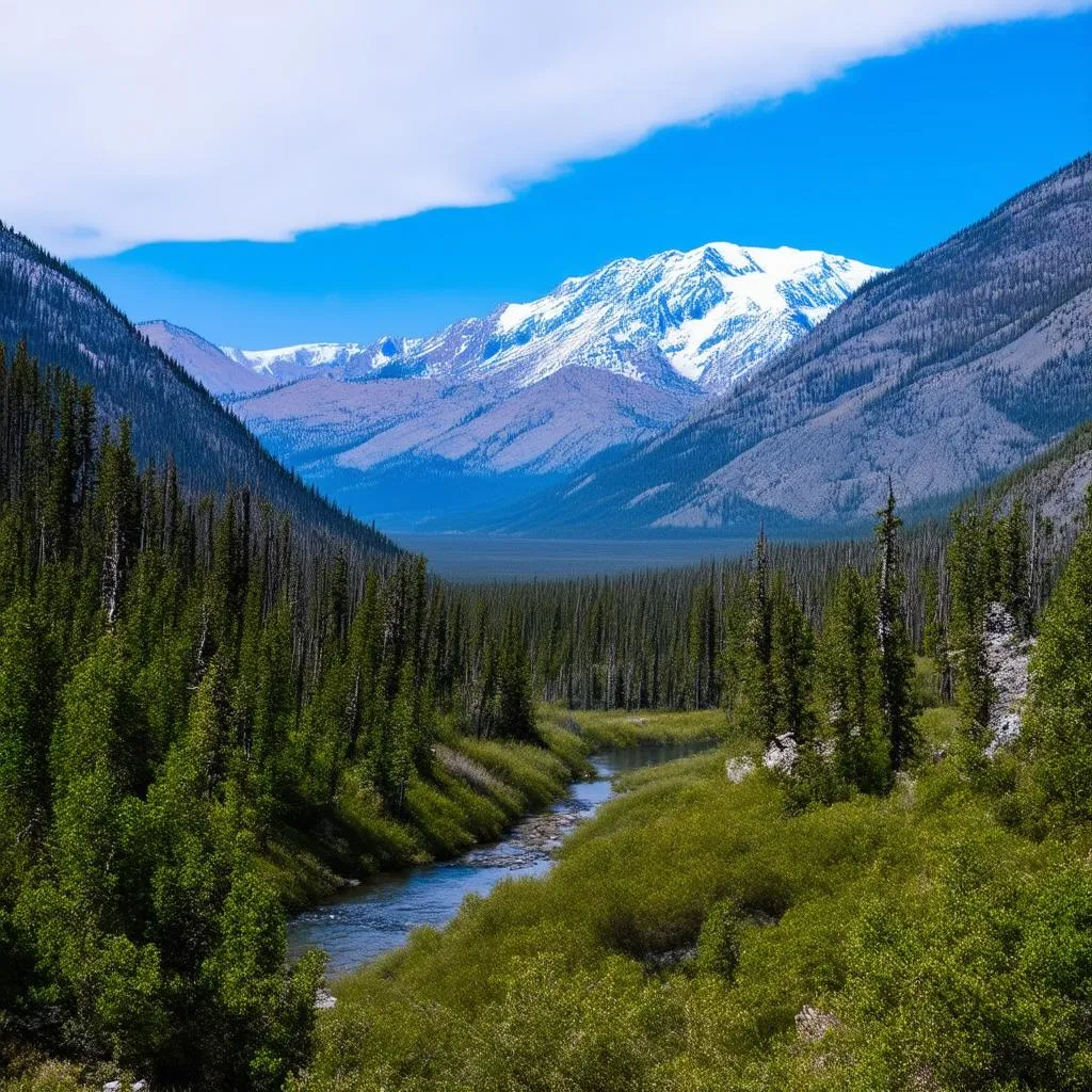 Denali National Park