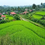 Scenic Drive in Hai Duong