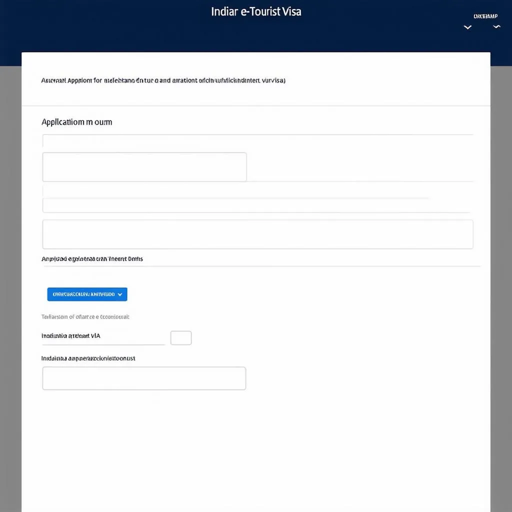 Indian e-visa application form