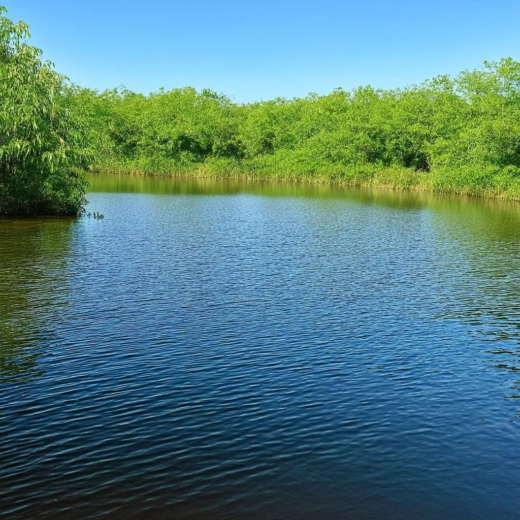 Long An Lake