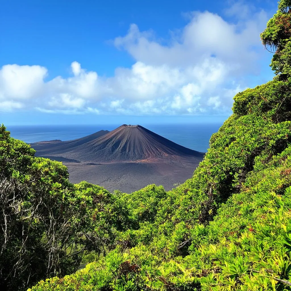 Volcanic landscape in Maui