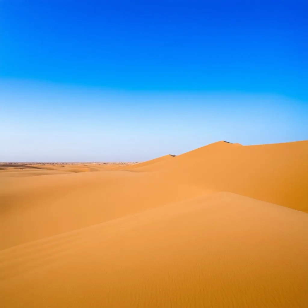 Rolling Sand Dunes