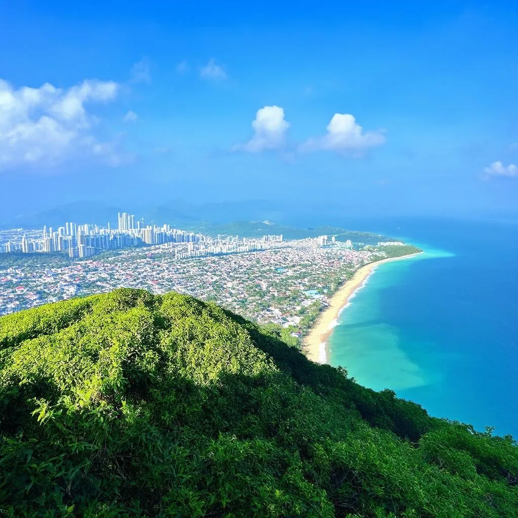 A panoramic view from the top of Son Tra Mountain overlooking the coastline and city