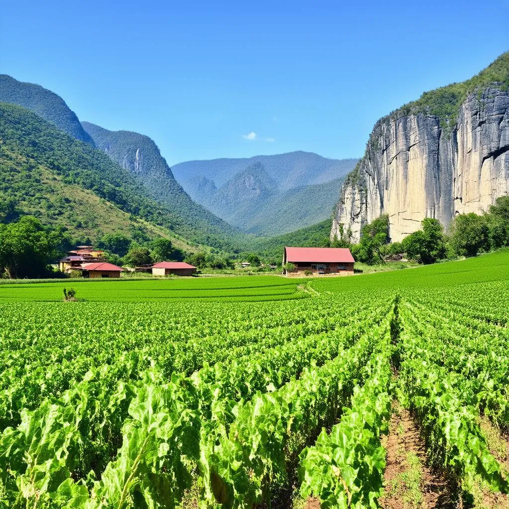 Scenic Vinales Valley in Cuba