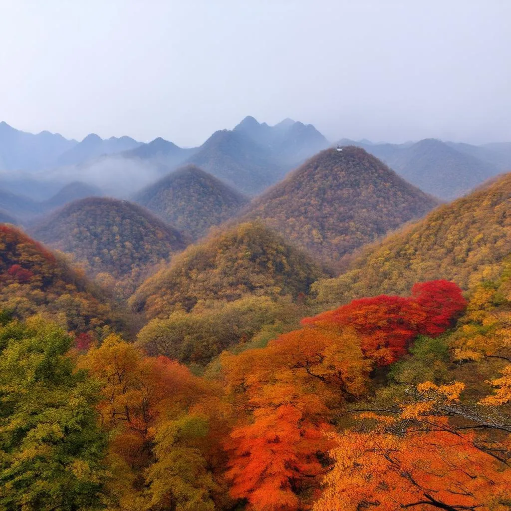 Yellow Mountain in Autumn