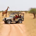 African safari adventure