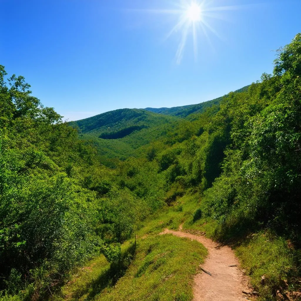 Ba Vi National Park