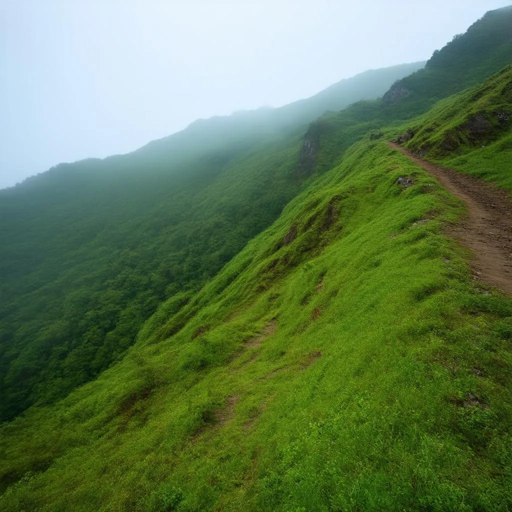 Ba Vi National Park