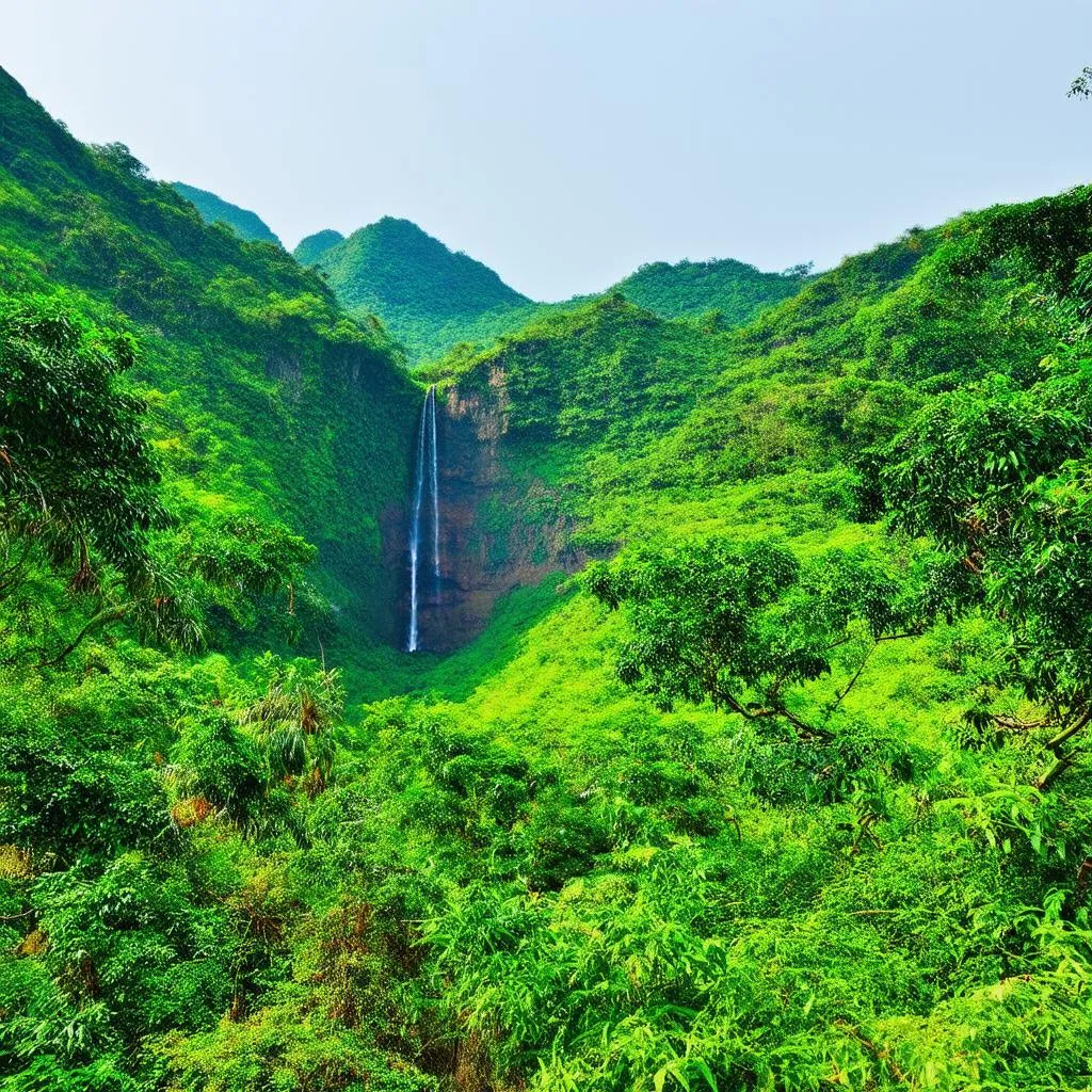 Ba Vi National Park landscape