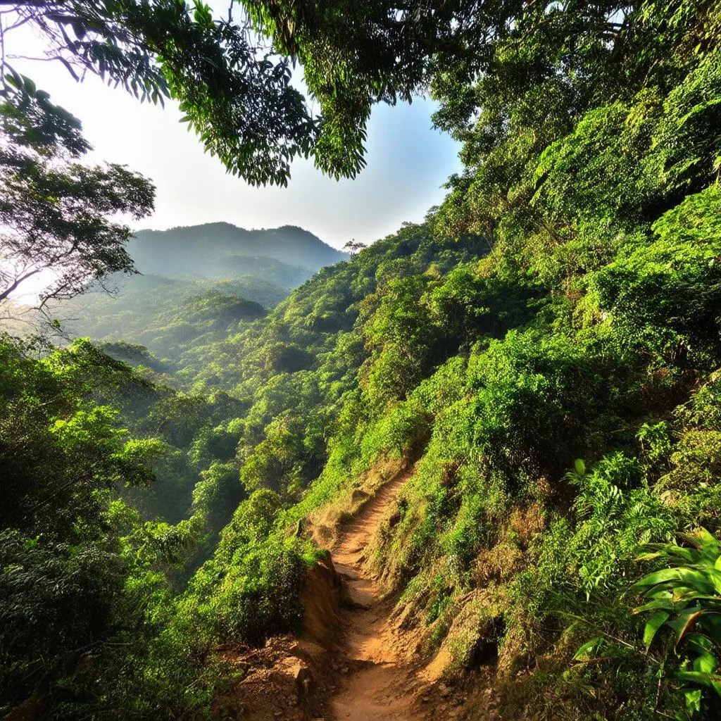 Ba Vi National Park Landscape