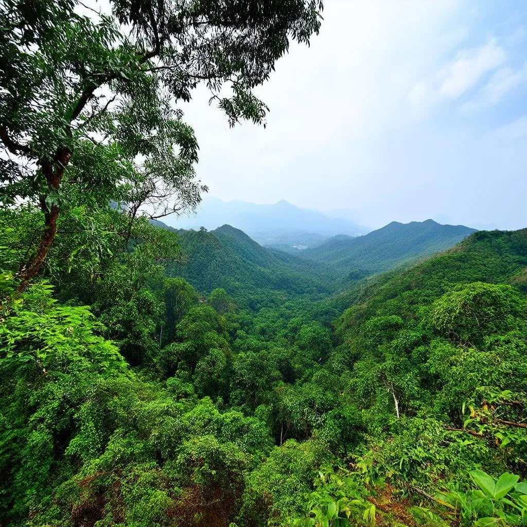 Scenic View of Ba Vi National Park