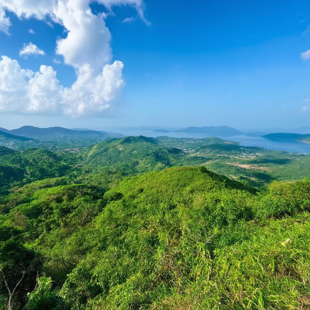 Ba Vi National Park scenic view