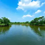 Serene Lake View in Binh Duong