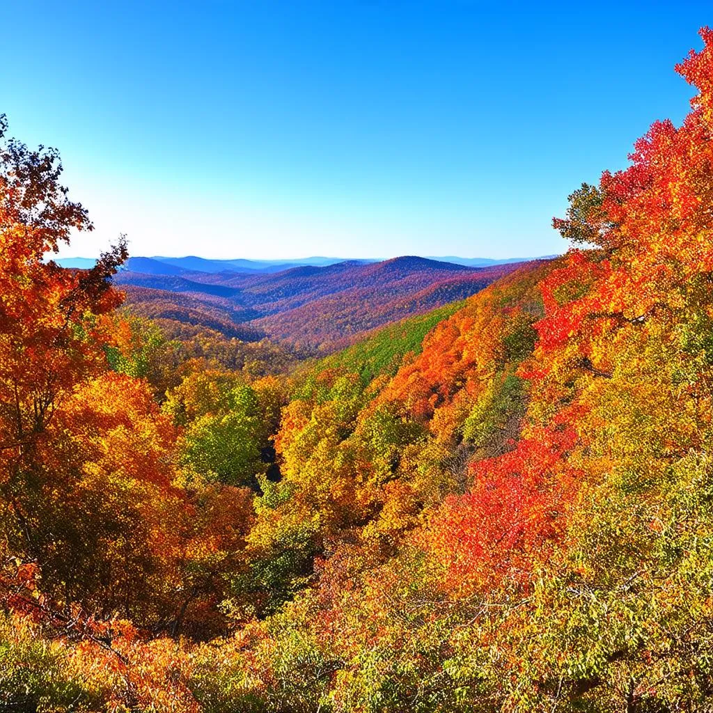 Blue Ridge Parkway Overlook