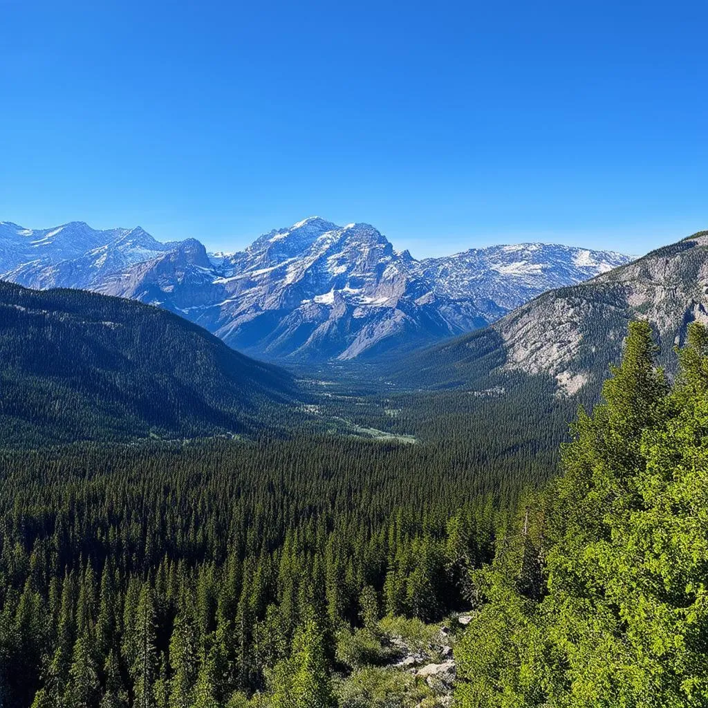 Canadian Rockies Landscape