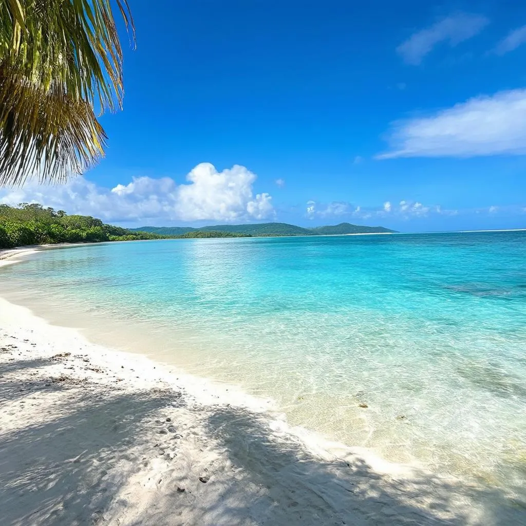 Costa Rican beach