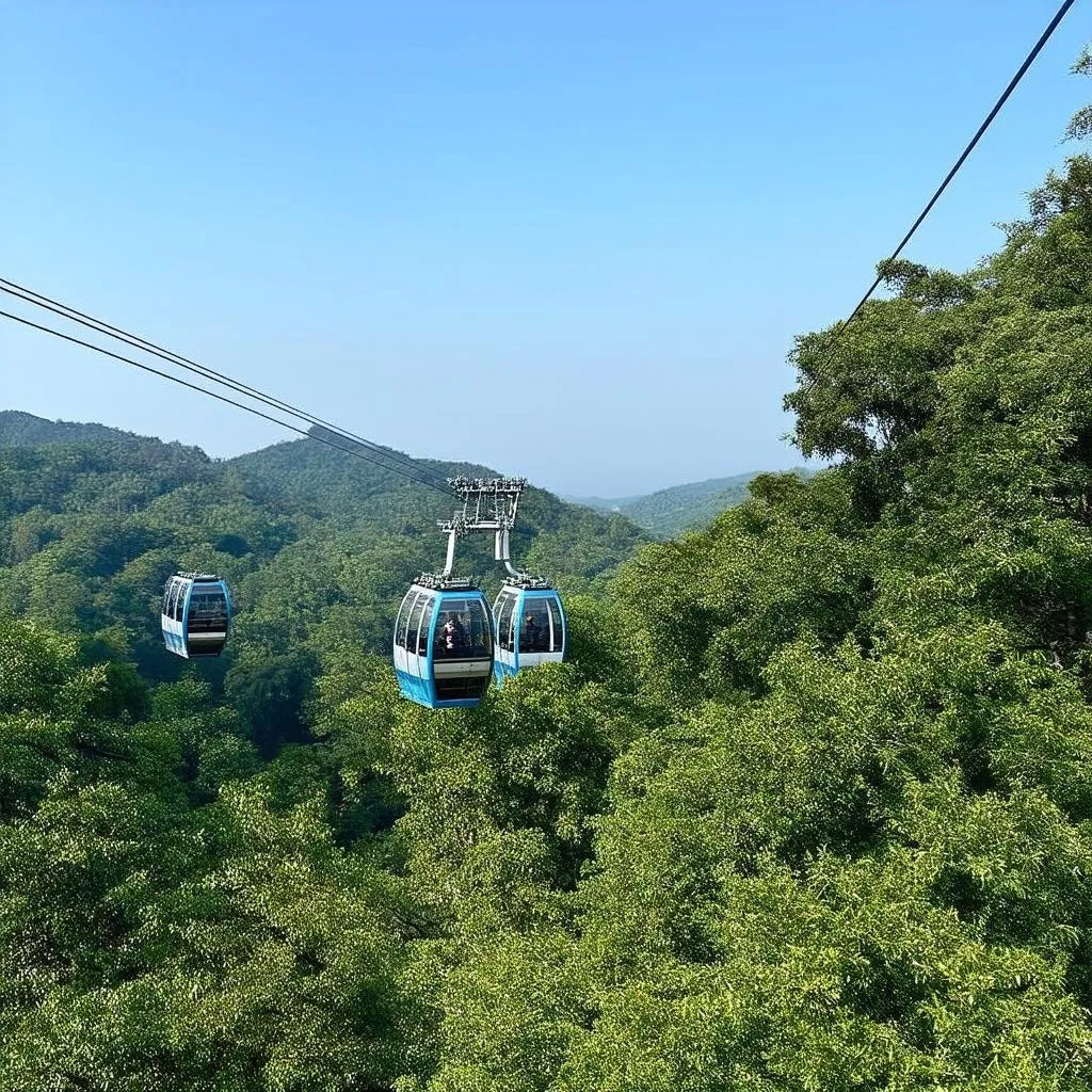 Cable car ride over pine forests in Da Lat